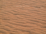 Patterns in the sand