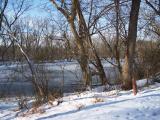 Frozen pond at Dierssen WMA