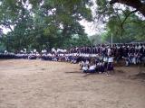 Crowd watching cricket match