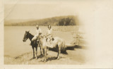 Horses On The Beach