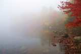 Foggy Fall 10/19/07