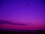 i AM GIFTED with an ancestral magic muse opeace  :):):)