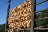 Corn Drying Platform