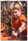 10-09-08 - Punkin in the Pumpkins.jpg