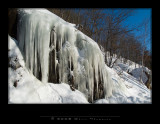 IMG3912 copy.jpg