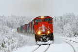 Dalehurst, AB