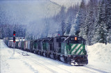 Essex, MT