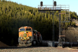 Summit, MT