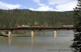 CNR M347