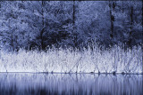 Frosty Winter Evening