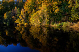 Autumn Alongside Tista River