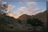 Sabino Canyon Sunrise 03