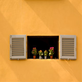 Yellow Wall with Flowers 0841  18 x 18.jpg