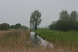 Kollumerwaard - Lauwersmeer (NL)