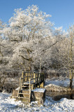 winter 2010 - hawe frost