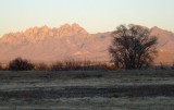 Organ Mountains from Rio Grande River near Mesilla, NM