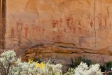Petroglyphs -- Sego Canyon, Utah