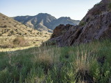 Soledad Canyon Trail