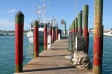 KeyWest19-IMG_0292.jpg