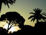 img_1177w2_std.jpg