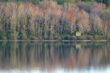 Lake view through the seasons