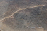 Hawaii4hcs0032.jpg