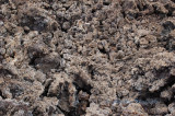 Hawaii4hcs0033.jpg