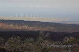 Hawaii4hcs0040.jpg