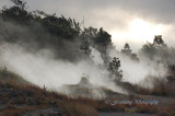 Hawaii4hcs0050.jpg