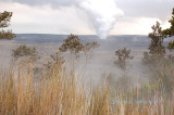 Hawaii4hcs0053.jpg