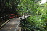 Hawaii5hcs0022.jpg