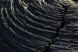 Hawaii5hcs0089.jpg