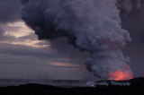 Hawaii5hcs0131.jpg