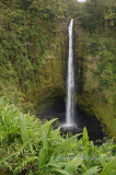 Hawaii5vcs0032.jpg