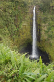 Hawaii5vcs0033.jpg
