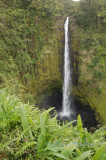 Hawaii5vcs0034.jpg