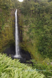 Hawaii5vcs0036.jpg