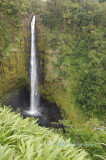 Hawaii5vcs0038.jpg