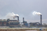 Hawaii2hcs0022.jpg