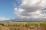 Hawaii2hcs0024.jpg