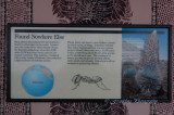 Hawaii2hcs0049.jpg