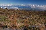 Hawaii3hcs0022.jpg