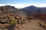 Hawaii3hcs0040.jpg
