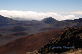Hawaii3hcs0060.jpg