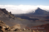 Hawaii3hcs0061.jpg