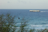 Hawaii1Cs0002.jpg