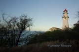Hawaii1Cs0004.jpg