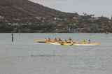 Hawaii1Cs0007.jpg