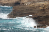 Hawaii1Cs0019.jpg