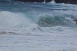 Hawaii1Cs0024.jpg